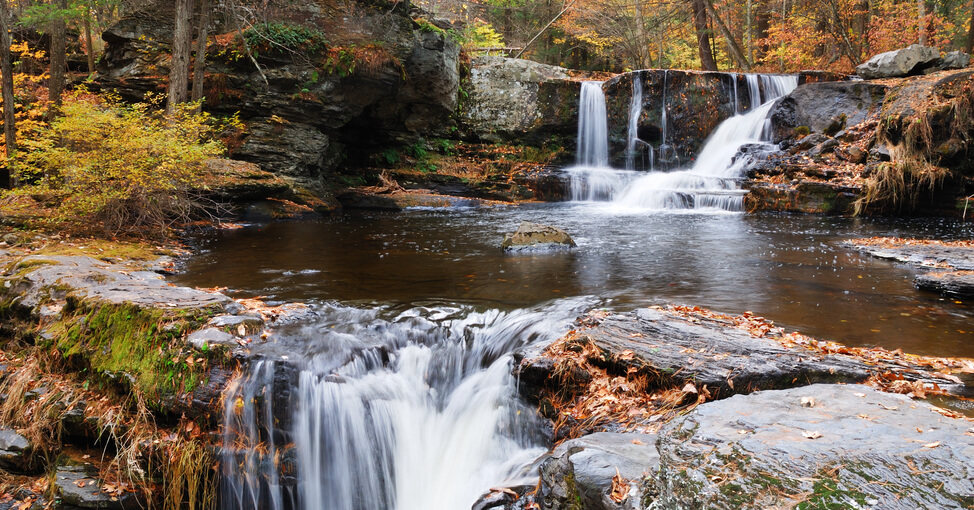 About | Friends Of First State National Historical Park