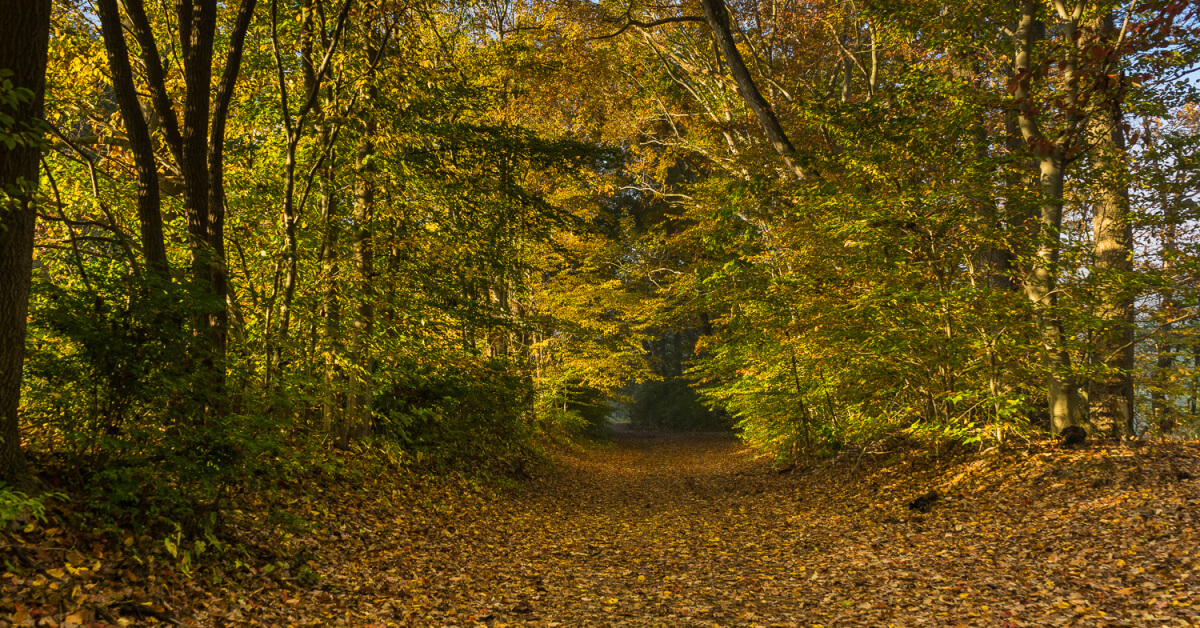 Visit The Park | Friends Of First State National Historical Park